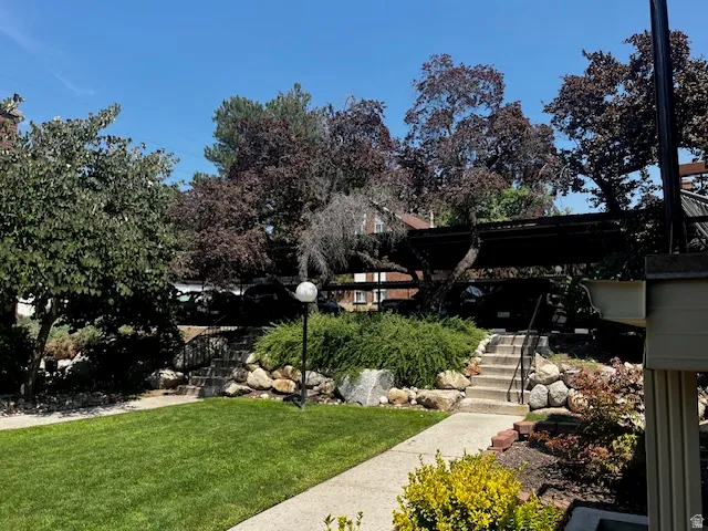 Expansive green lawn with a concrete pathway
