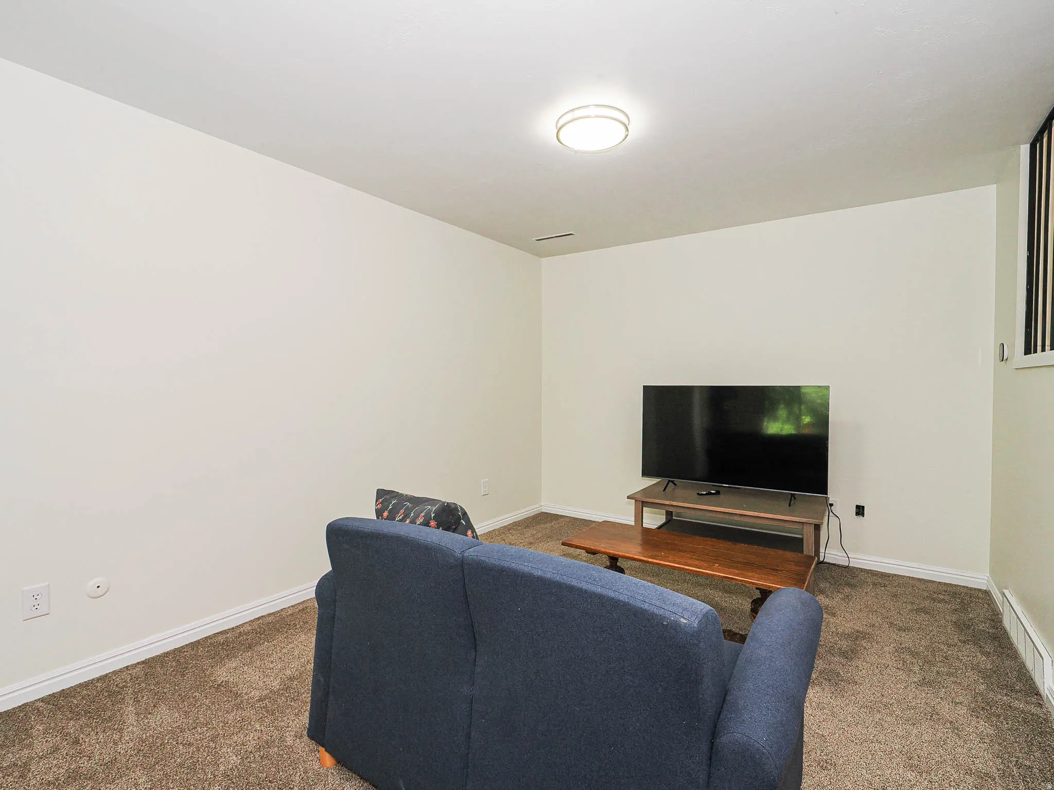Carpeted living area featuring light-toned walls, white baseboards, and an overhead flush-mount light fixture