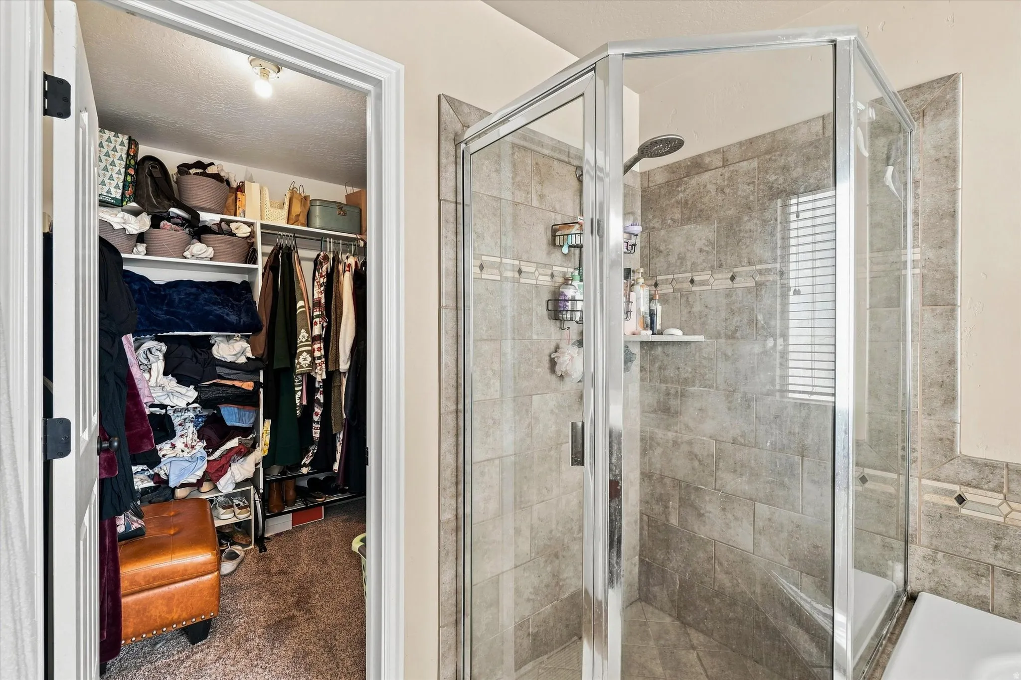 Master Bedroom Ensuite and Walk in Closet