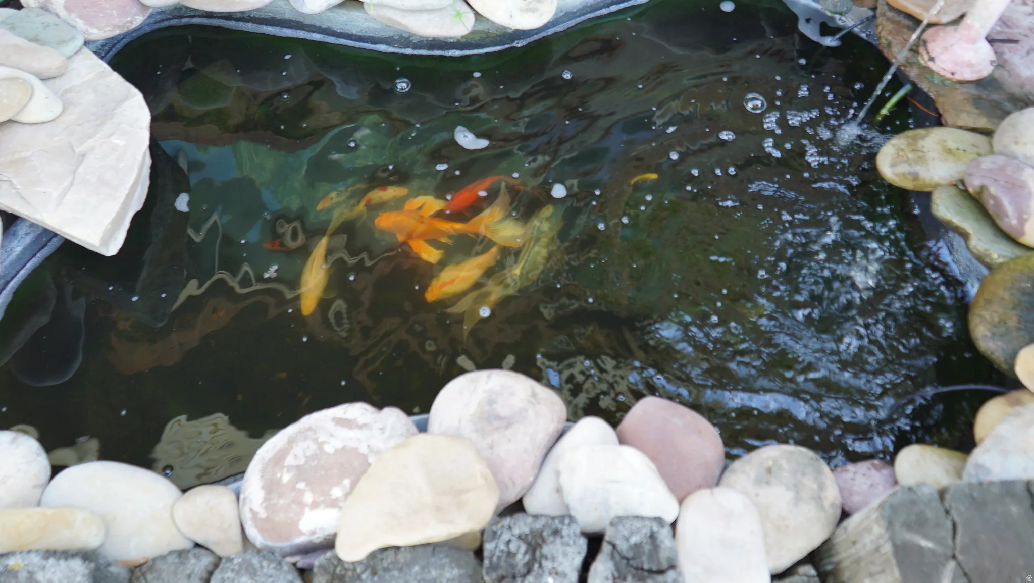 Serene water feature with a stone surround