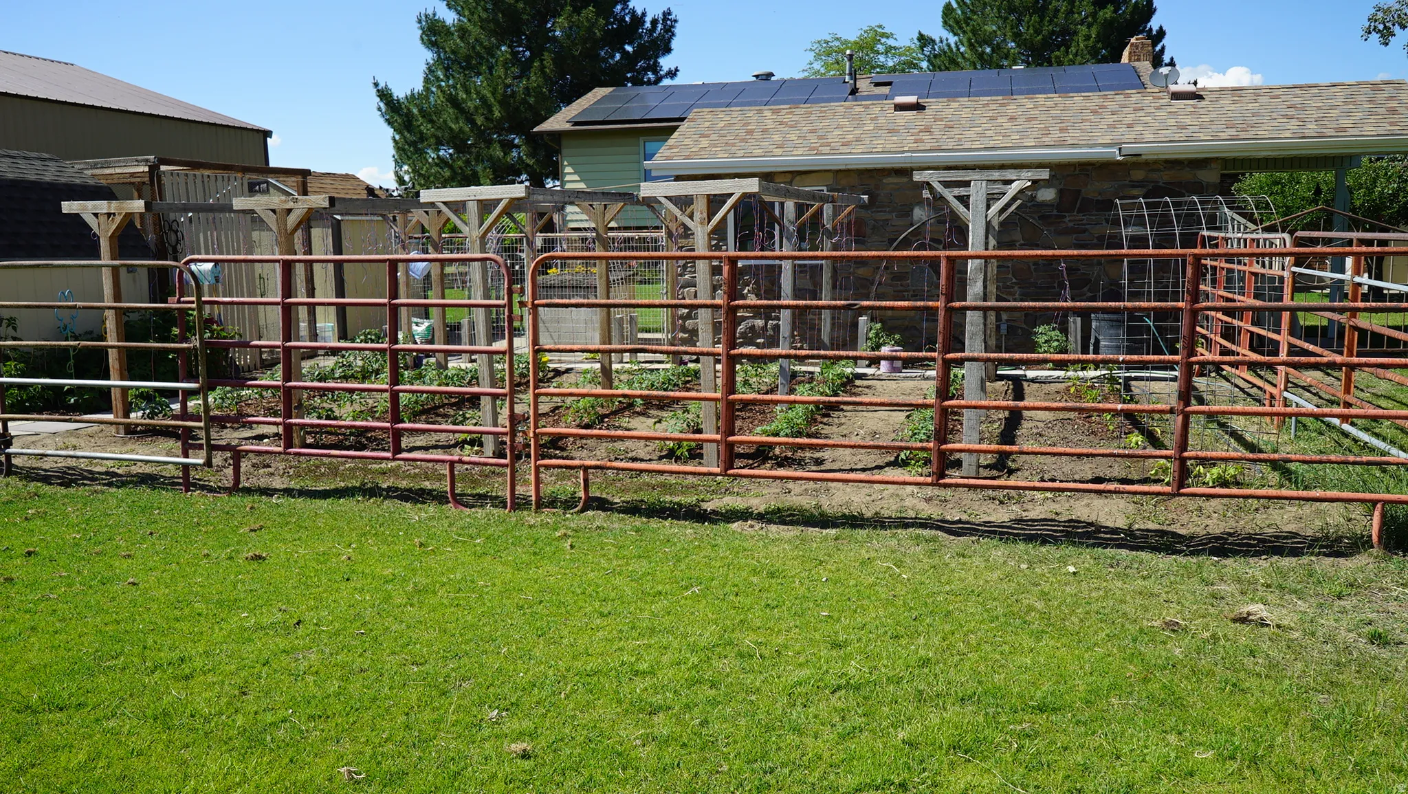 Fenced garden area with established plants, featuring wood pergola structures and metal fencing