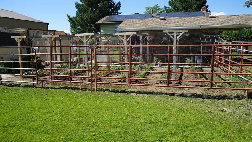 Fenced garden area with established plants, featuring wood pergola structures and metal fencing
