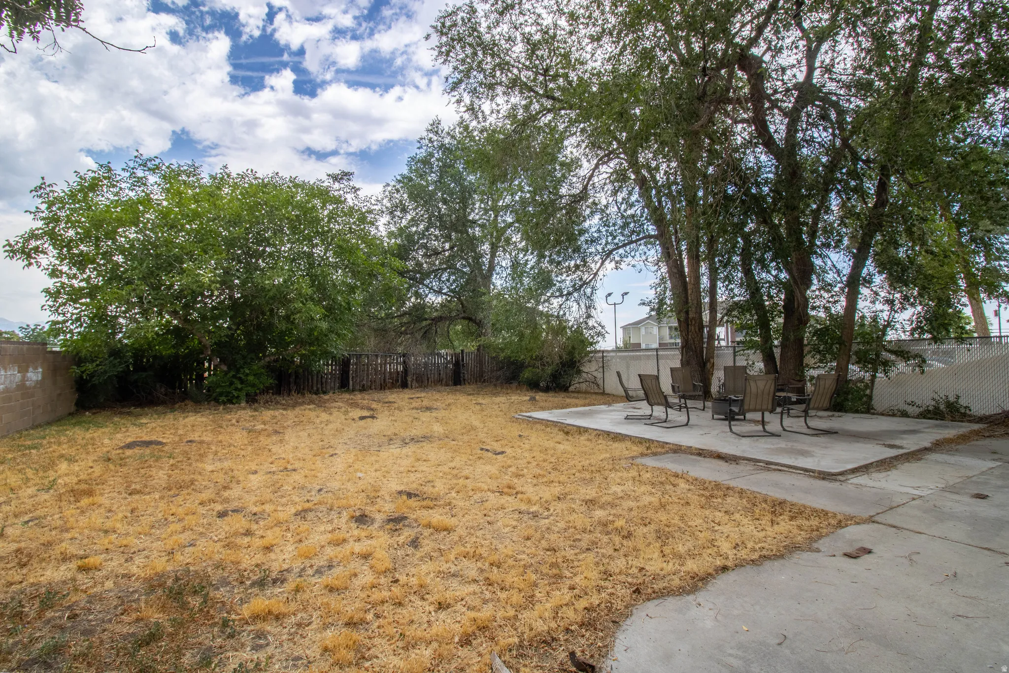 Spacious backyard featuring a concrete patio, mature trees providing natural shade, and a perimeter fence
