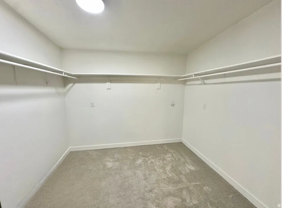Large walk-in closet featuring light-toned carpet, white walls, and built-in white shelving & rods on 3 walls