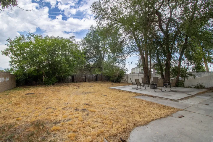 Spacious backyard featuring a concrete patio, mature trees providing natural shade, and a perimeter fence
