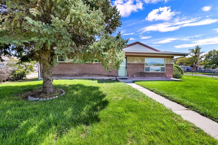 Brick facade home with a spacious front lawn, mature evergreen tree, concrete walkway, and an inviting front patio
