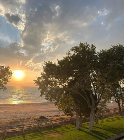Expansive waterside setting with mature trees, a sandy beach, and a rustic wooden fence