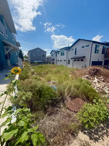 Expansive undeveloped land featuring natural foliage