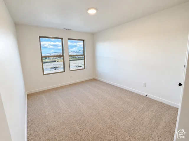 Neutral tone carpet, two windows with dark frames, white walls, and an overhead flush-mount light fixture