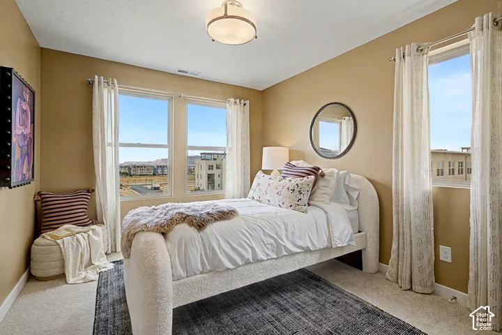 Carpeted flooring, recessed ceiling, flush mount ceiling light fixture, and multiple windows