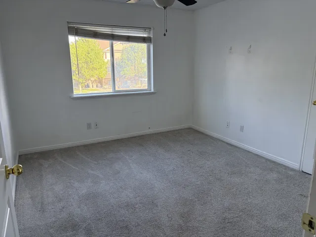 Spacious bedroom with neutral wall finishes, carpet flooring, and large window with natural light