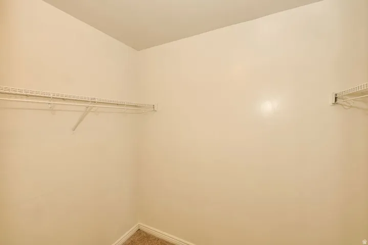 Walk-in closet with neutral wall paint and carpeting