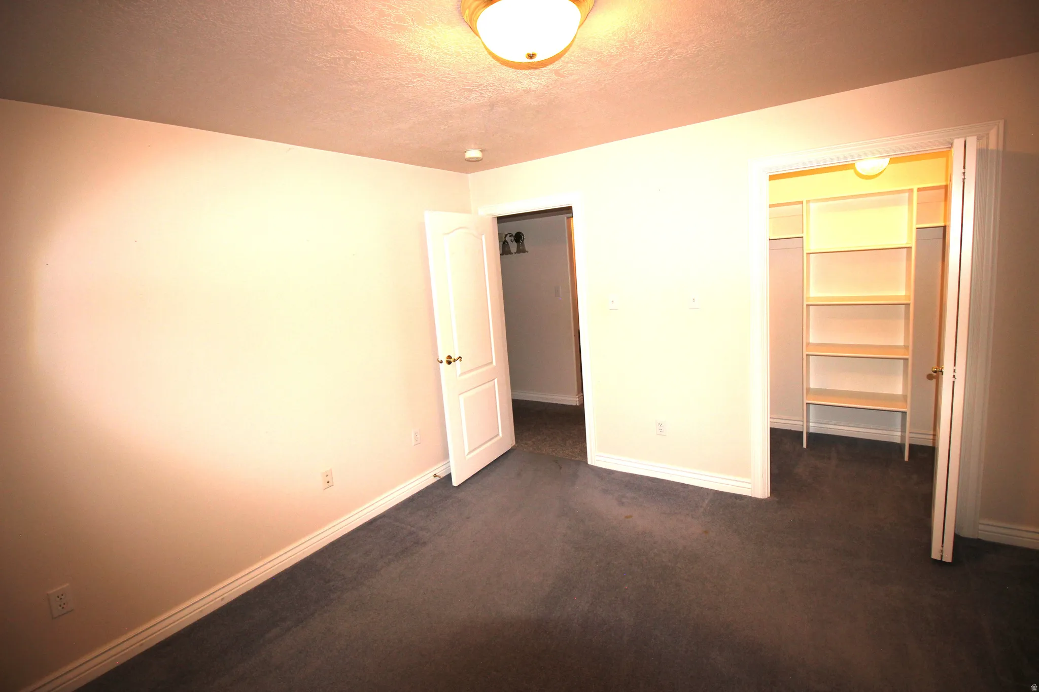 Plush carpet flooring, recessed ceiling lighting, and a closet with integrated shelving