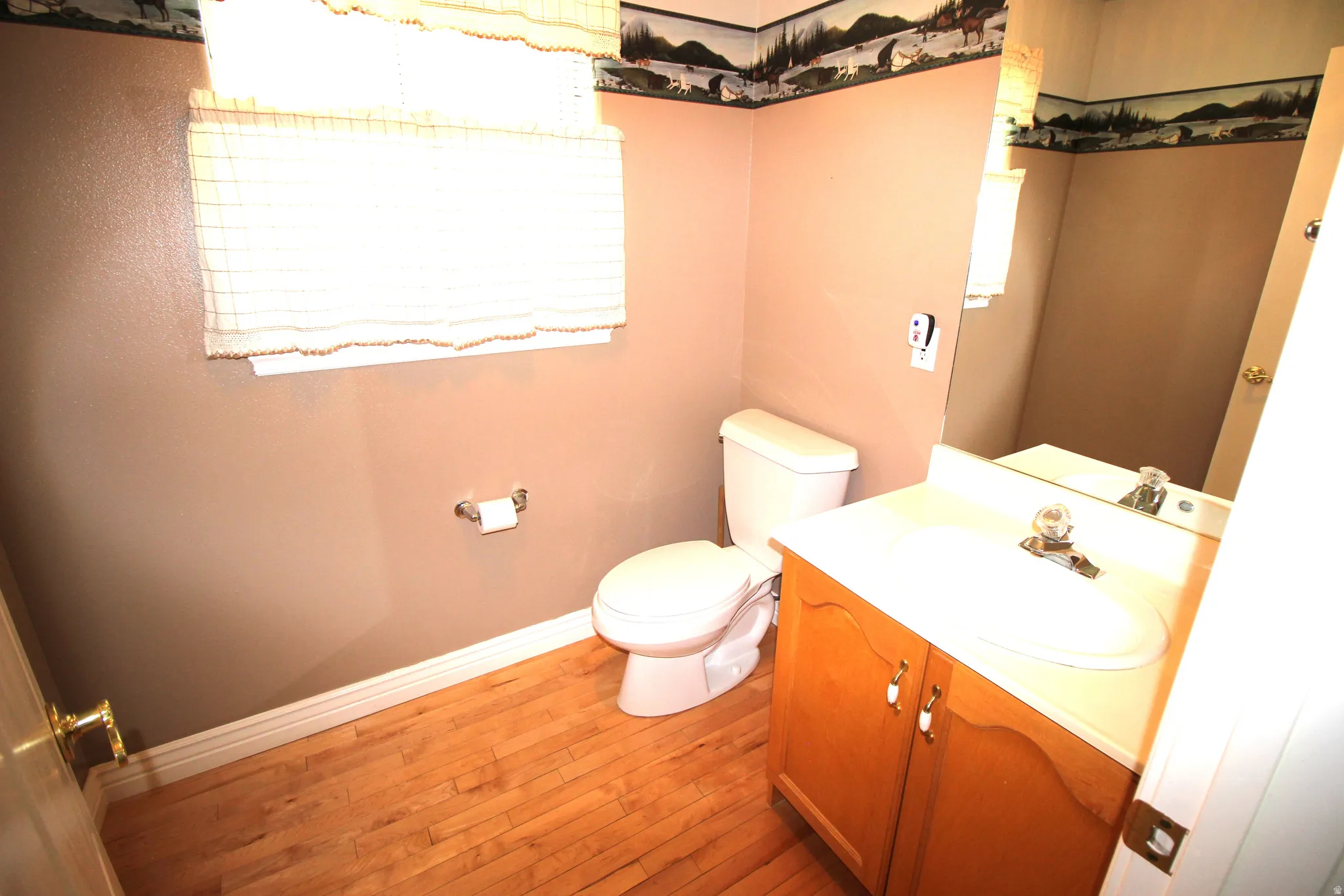 Wood-finish flooring, single vanity with integrated sink, and a commode