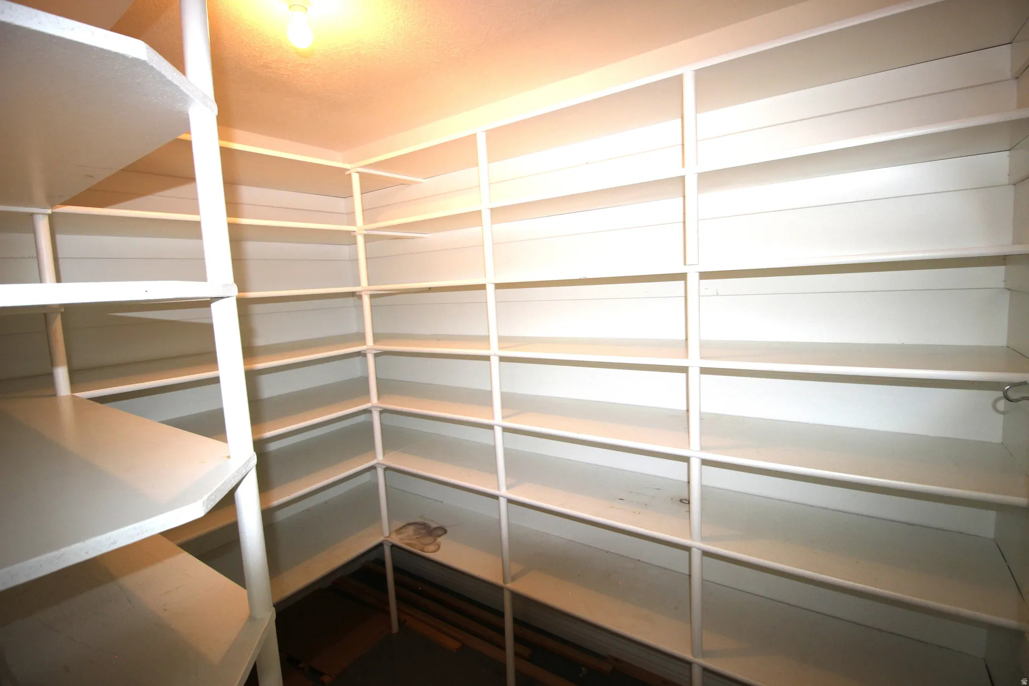 Large Kitchen Pantry Built-in shelving providing extensive storage
