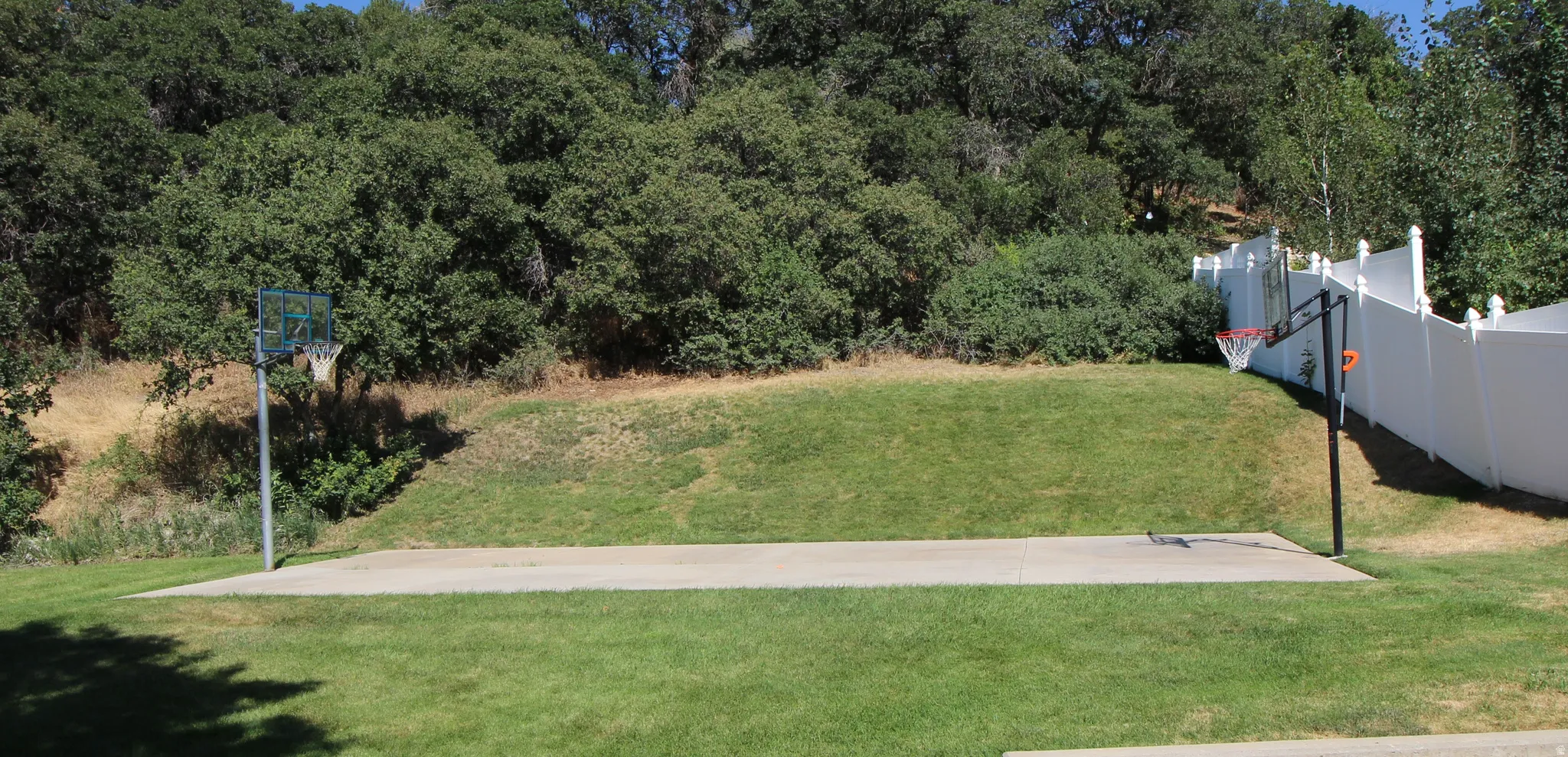 Expansive green space featuring a concrete sports court with two basketball hoops, a white privacy fence, and mature trees