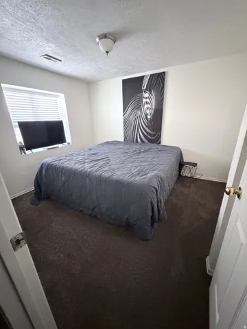 Bedroom in the basement