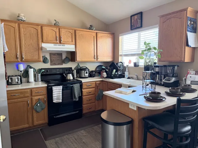kitchen with wood-finish cabinetry, a black electric range, and a dual basin sink