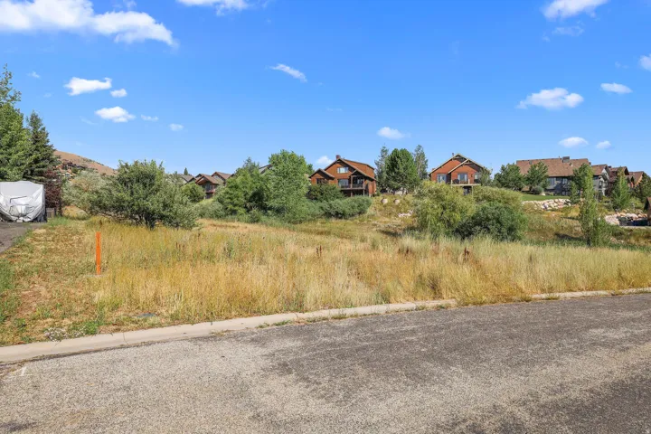 Expansive undeveloped lot featuring natural landscaping and a sloped terrain