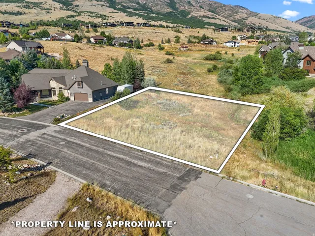Parcel of undeveloped land featuring natural vegetation