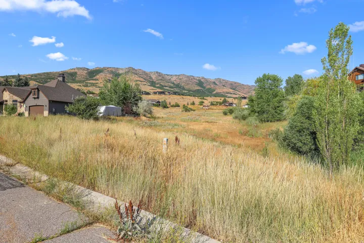 Expansive undeveloped lot featuring natural vegetation, a clear blue sky, distant mountainous terrain, and surrounding residential structures