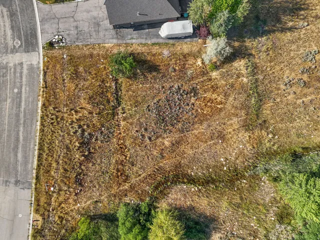 Expansive undeveloped lot featuring natural vegetation, bordered by an asphalt road and existing property structures