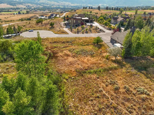 Expansive undeveloped land parcel featuring natural grasses and scattered shrubbery