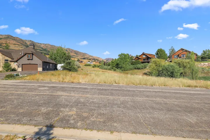Expansive undeveloped land parcel with natural vegetation and distant mountain backdrop