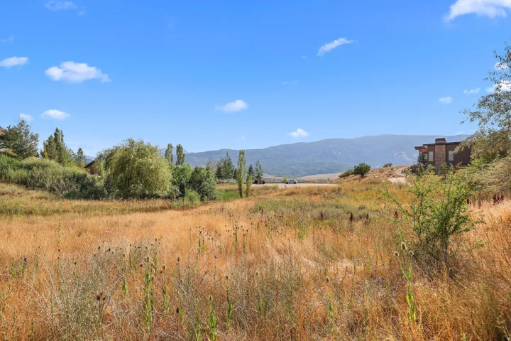 Expansive natural landscape featuring varied grasses and distant mountain formations