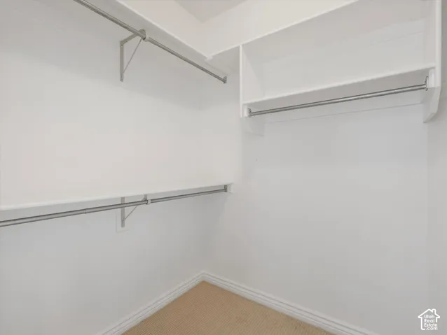 Walk-in closet featuring white walls, white shelving, metal hanging rods, and light brown carpet