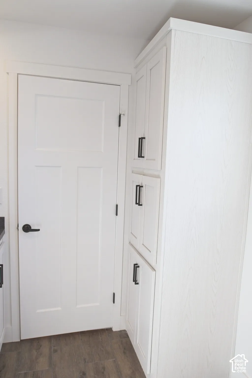Tall floor-to-ceiling built-in cabinetry featuring white wood-grain finish, shaker-style doors, and matte black hardware, accompanied by a three-panel interior door with matching matte black lever handle and wood-finish flooring