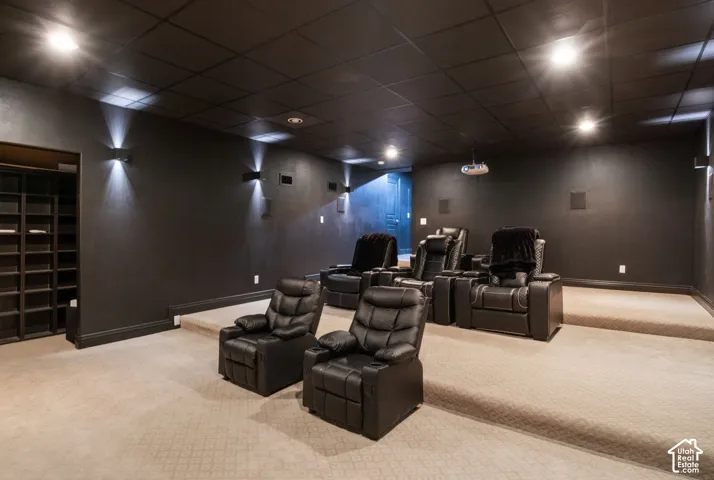 Dedicated media room featuring tiered seating platforms and integrated sound system