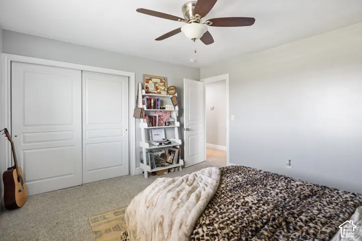 Carpeted room featuring a ceiling fan with light fixture, light gray wall paint, and white trim