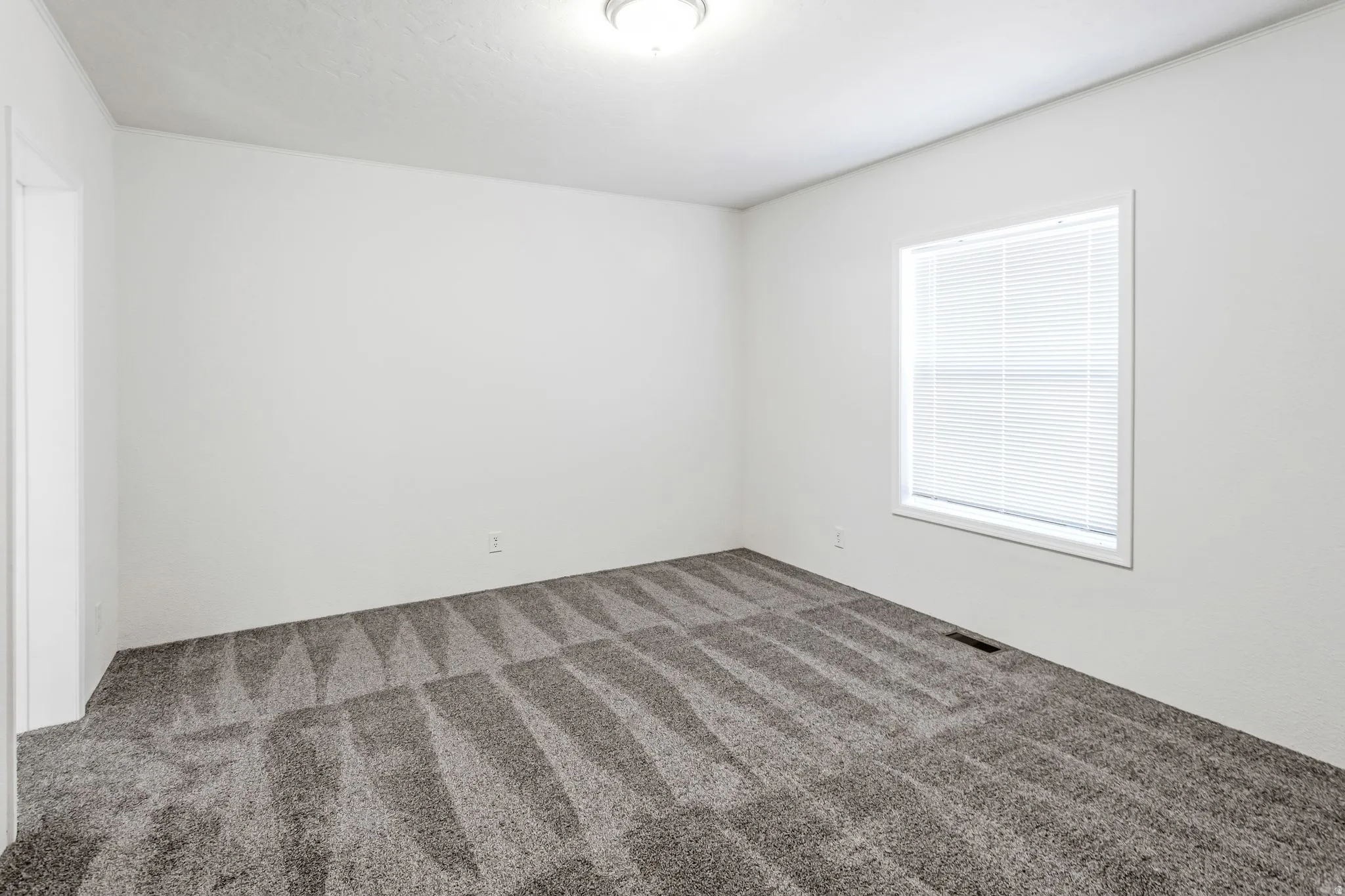 Spacious room featuring plush patterned carpeting, bright white walls, a single window with blinds, and a ceiling-mounted light fixture