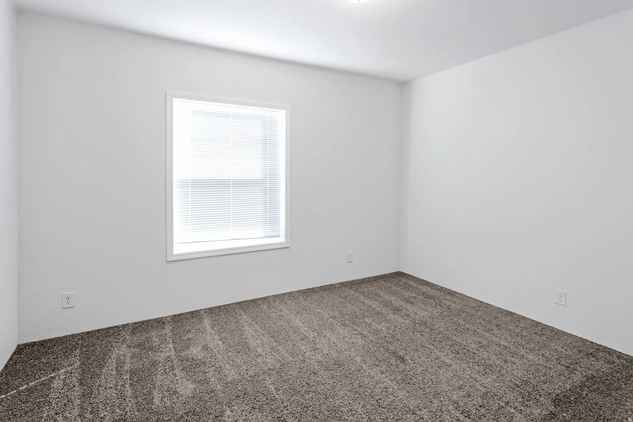 Spacious room featuring neutral carpeting and a single window with blinds