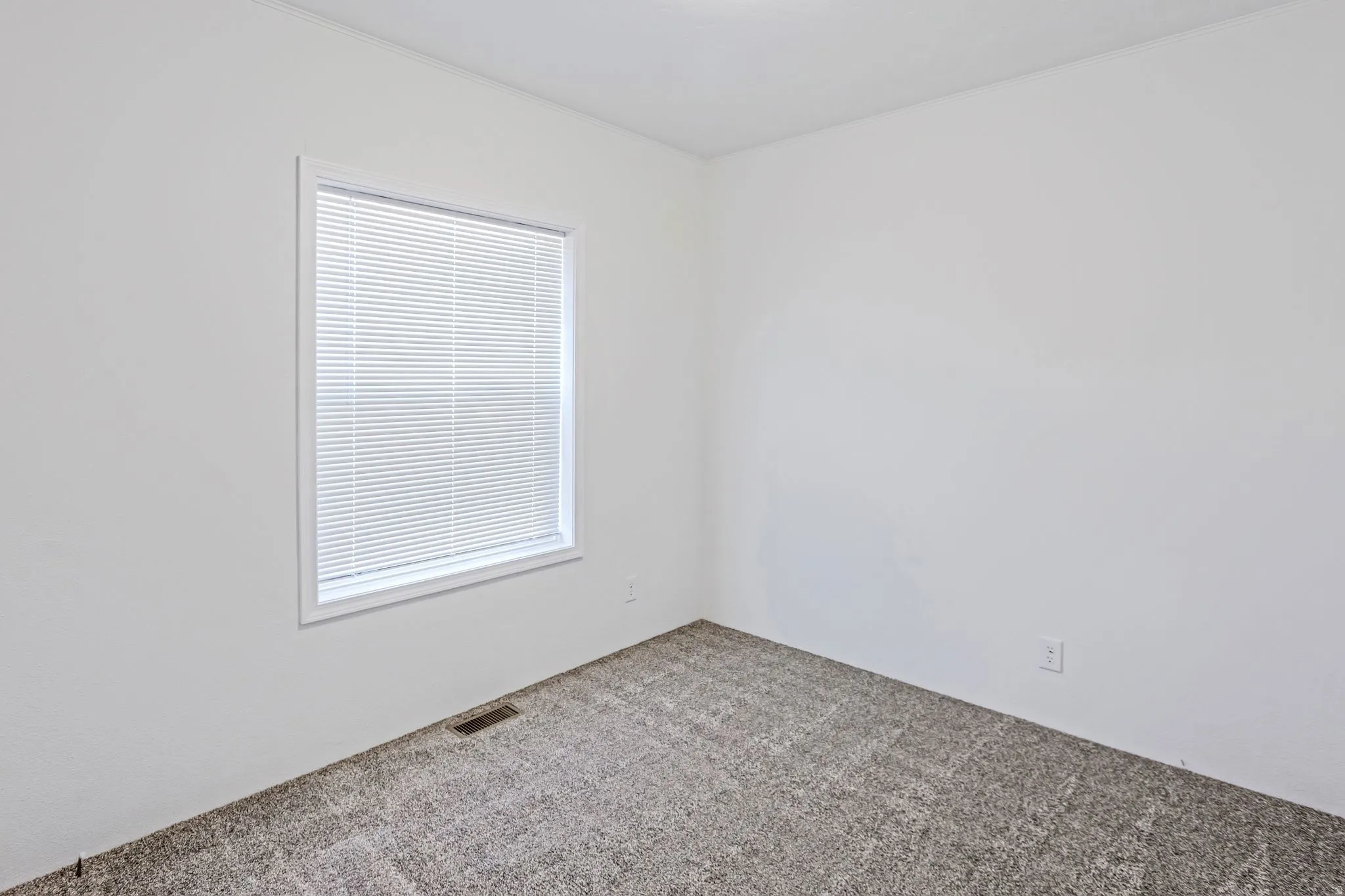 Bright interior room featuring a window with blinds, neutral wall paint, and textured carpeting