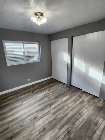 Room featuring wood-finish flooring, two sliding closet doors, a single window, a baseboard, and an overhead light fixture