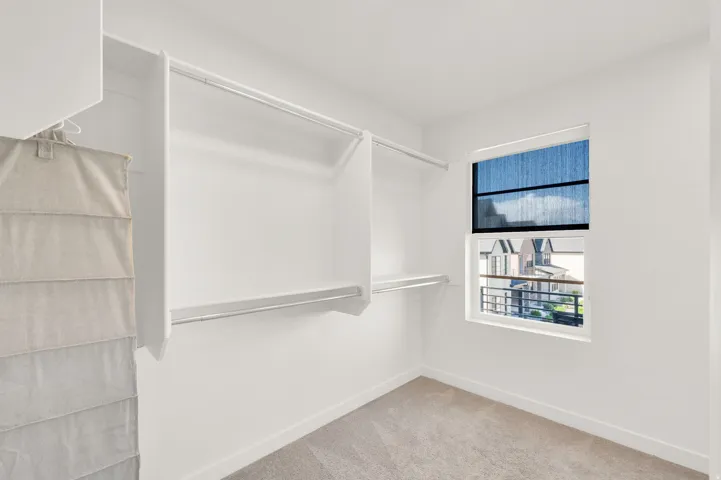 Spacious closet featuring white walls, carpeted flooring, and a large window