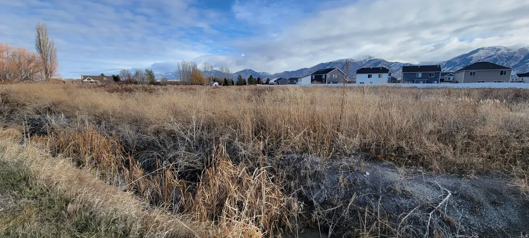 Expansive undeveloped land featuring natural grasses and distant mountain ranges