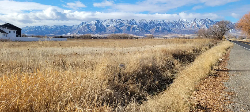 Expansive land lot featuring a paved road frontage, natural grassy terrain, and a distant mountain range backdrop