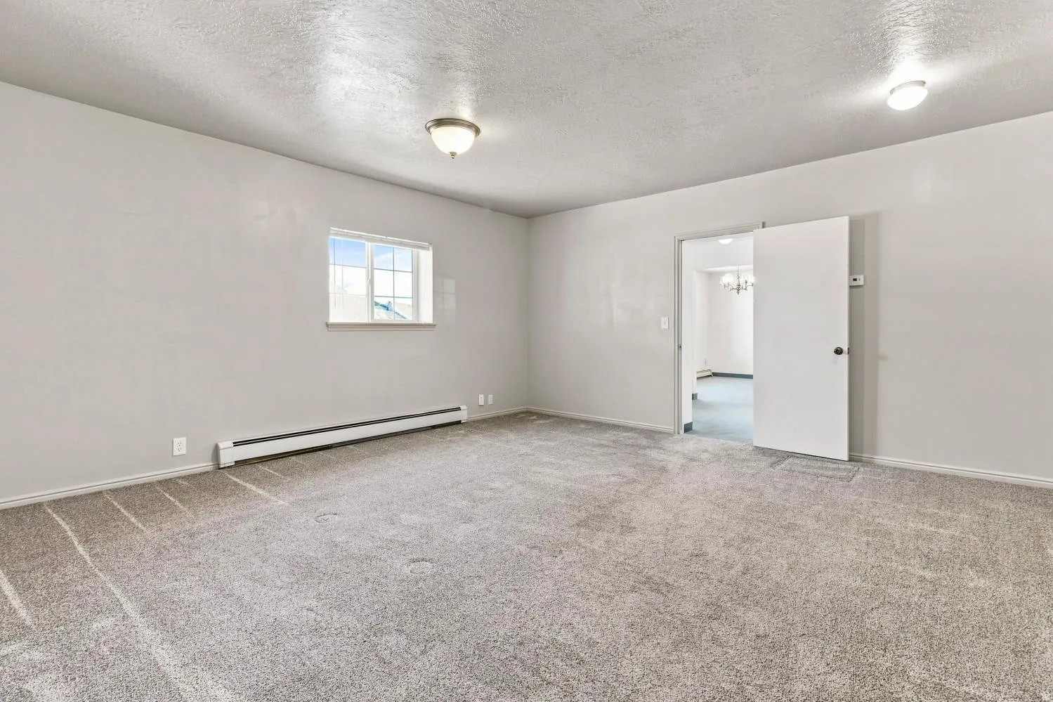 Spacious room featuring light gray walls, textured carpet flooring, and a single window with white trim
