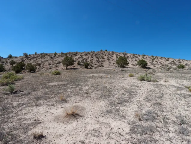 Expansive desert landscape featuring natural terrain and scattered native vegetation