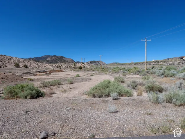 Expansive undeveloped land featuring natural desert vegetation
