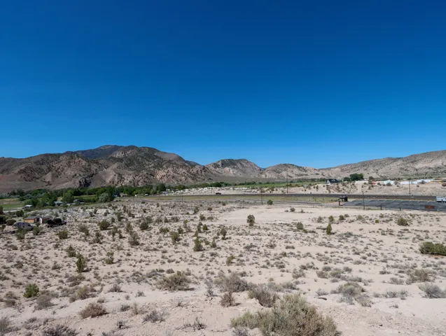 Expansive arid landscape featuring scattered low-lying shrubs and distant mountainous terrain