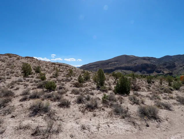 Arid terrain with scattered desert brush and trees