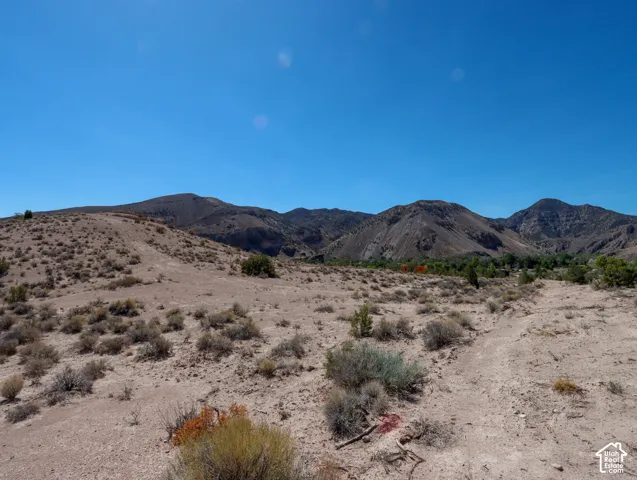 Expansive desert landscape with natural vegetation and distant mountain ranges