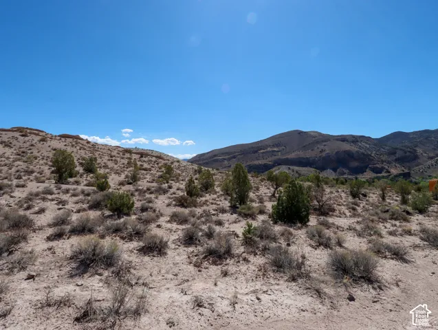 Arid terrain with scattered desert brush and trees