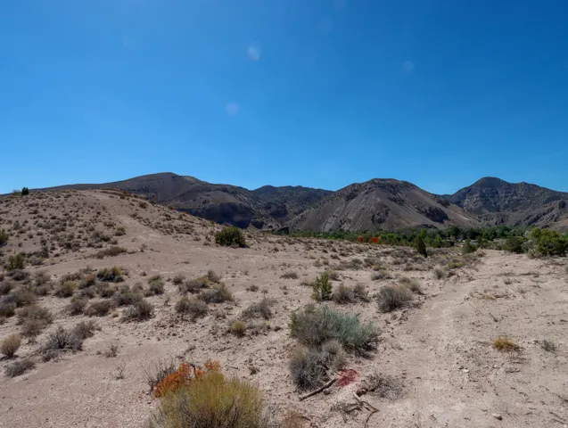 Expansive desert landscape with natural vegetation and distant mountain ranges