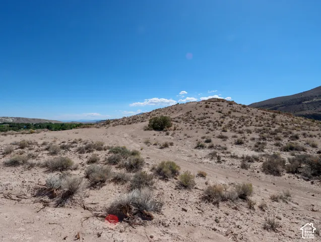 Expansive desert landscape with natural vegetation, distant green foliage, and undulating terrain under a clear sky