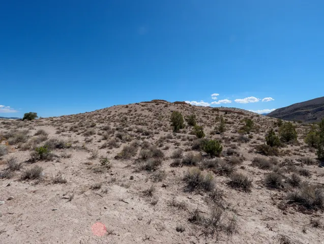 Expansive desert terrain featuring varied shrubbery and a clear sky
